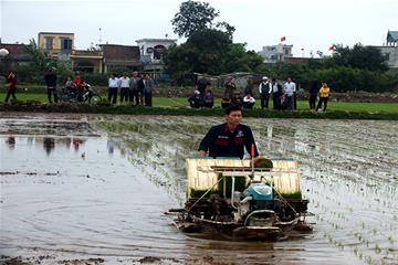 Phát triển vụ Đông - cốt lõi trong tái cơ cấu ngành trồng trọt